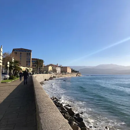 Spacieux Confort Cite Imperiale * 아작시오