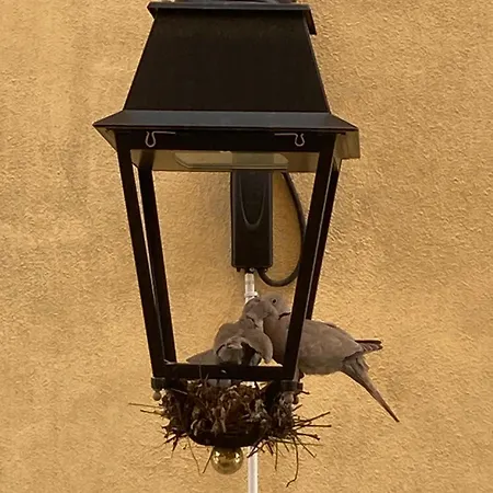 Spacieux Confort Cite Imperiale * 아작시오