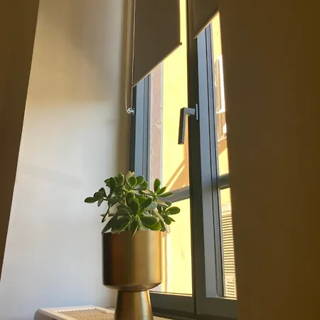 Spacieux Confort Cite Imperiale *