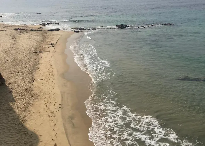 Spacieux Confort Cite Imperiale